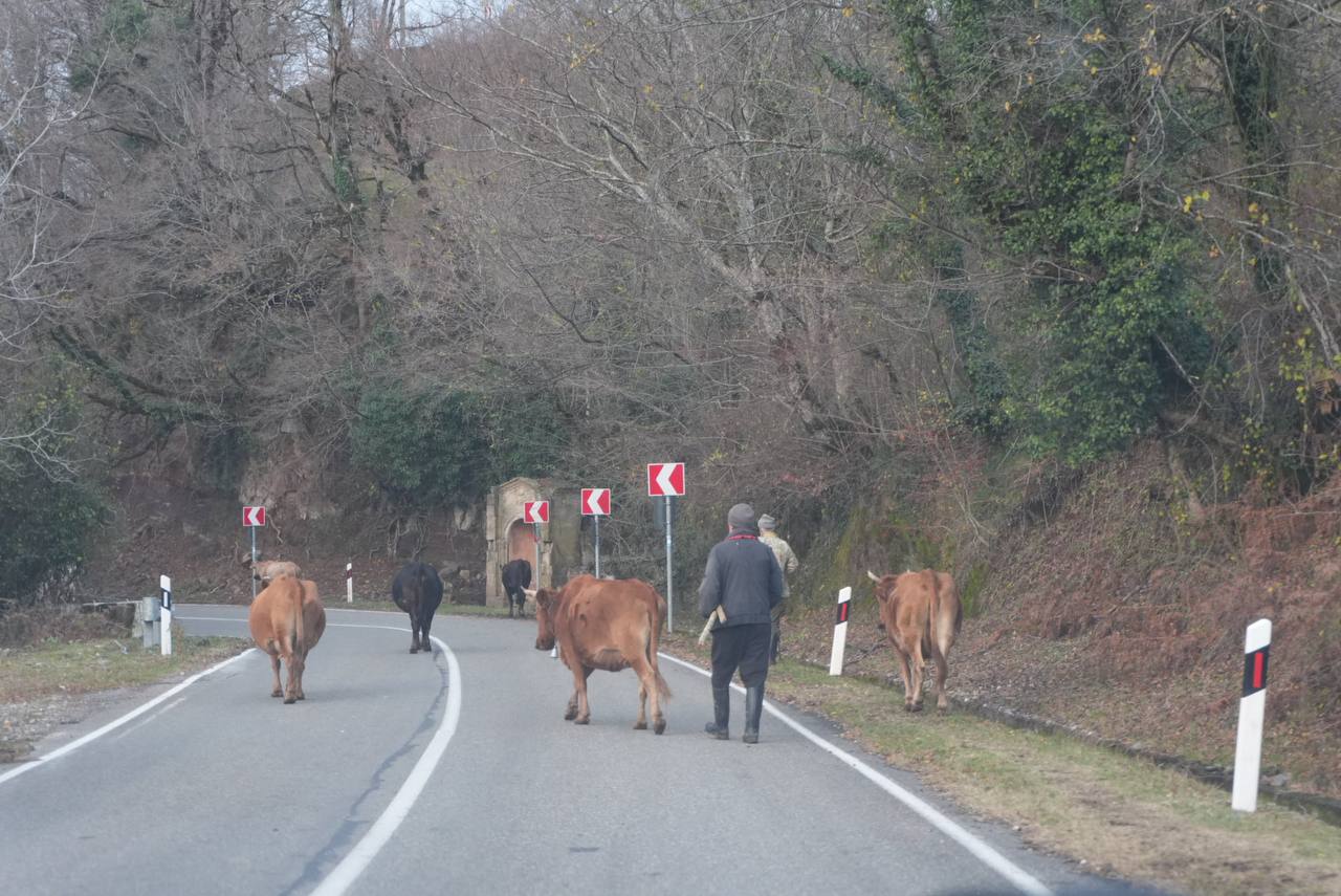 Деревня в горах
